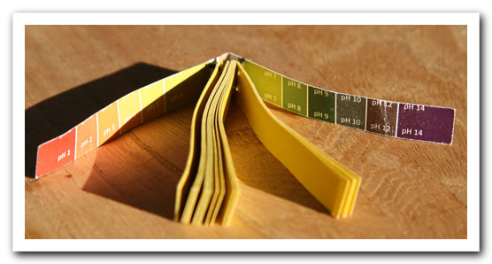pH strips