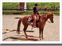 Amigo after dietary changes!