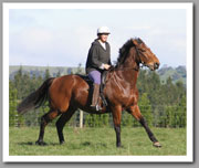 Nibbler 'nutting off'.