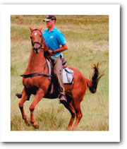 persil with stranger on his back!