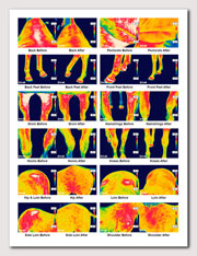 Thermography report for Amigo